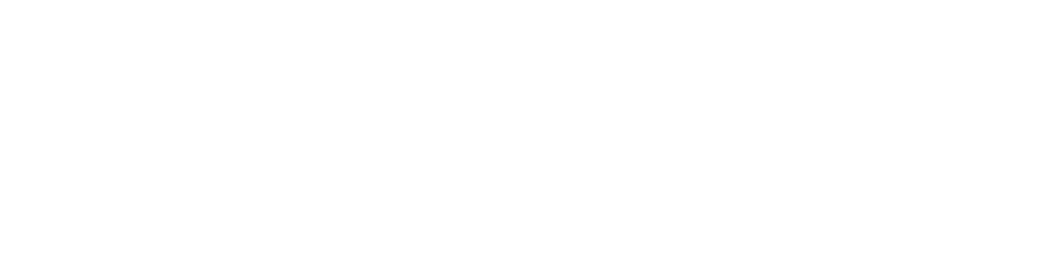 LS 전선